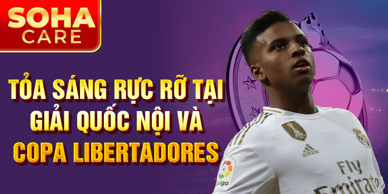 Tỏa sáng rực rỡ tại giải quốc nội và Copa Libertadores